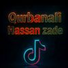 qurban.ali.hassan0
