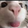 justdhee7
