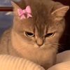 faten_e3