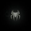 🕷️