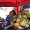 tukang.kelapa7