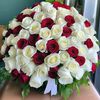 malik.hafeez370