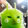 elazko_