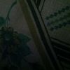 user1905598202853