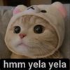 meowyi_zij