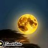 muhammad.imran39943