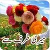 malik.shah.malik2