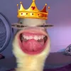 nicxy6c