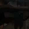 eloa_lncqns