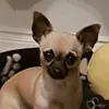 snoppy0049