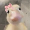 briana.boneva