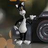 newcatiktok