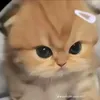 em_ko_he_xinh