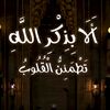 mohammed.wailed7