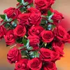 samsul.mansuri8