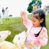 vimon.leena