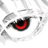 spruk_202600