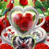 user2615025306547