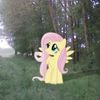 oliv3rrawrx3