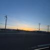 yyc.ari99