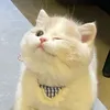 Chăm chỉ nuôi tóc