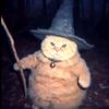 magical_cat6