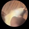 im.really.him87