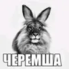 pyknem