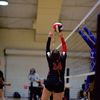 savannah_6900