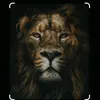lwelwe026