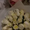maji_c12