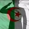 rafik.mdoukaler