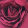 nour36672