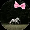 karen.naeef