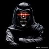 hammad.khan3979