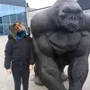 mica._.roa