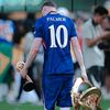 palmeryare10