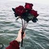 noorul.ain335