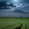 mohammed.abdalgad72