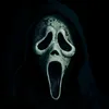 Chco Terror