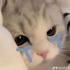 na_chan0555
