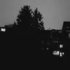 darqwin_