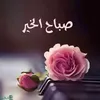 mohammad.dalwar2