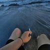 ato_cicak23