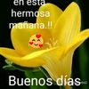 elenarojo560
