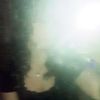 haylee.vemealone