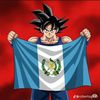 marcosfy1