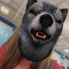 evrlacqa