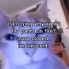 abiferris13