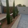 tripoli839